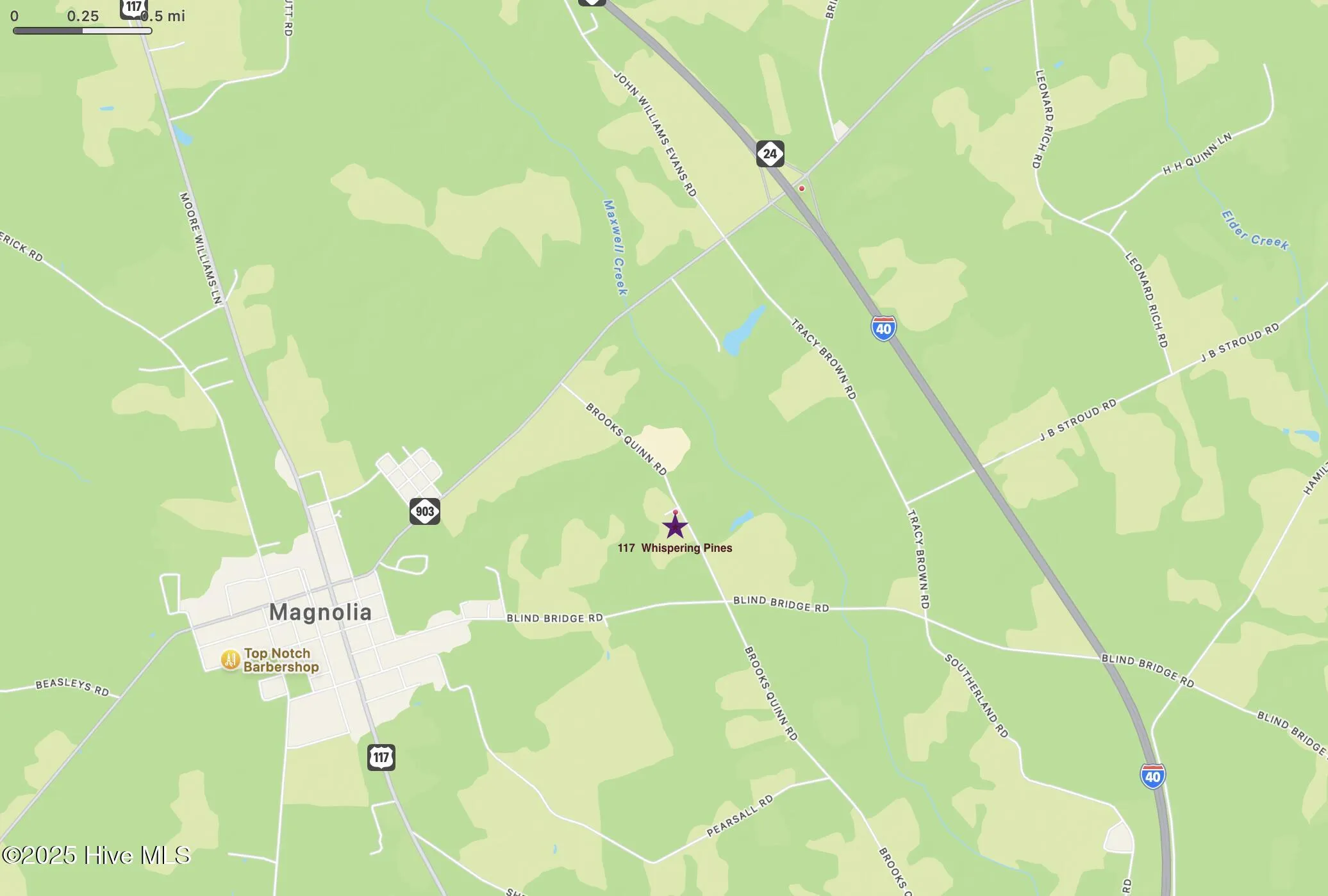 Magnolia, North Carolina 28453, United States, ,Land,Active,234015