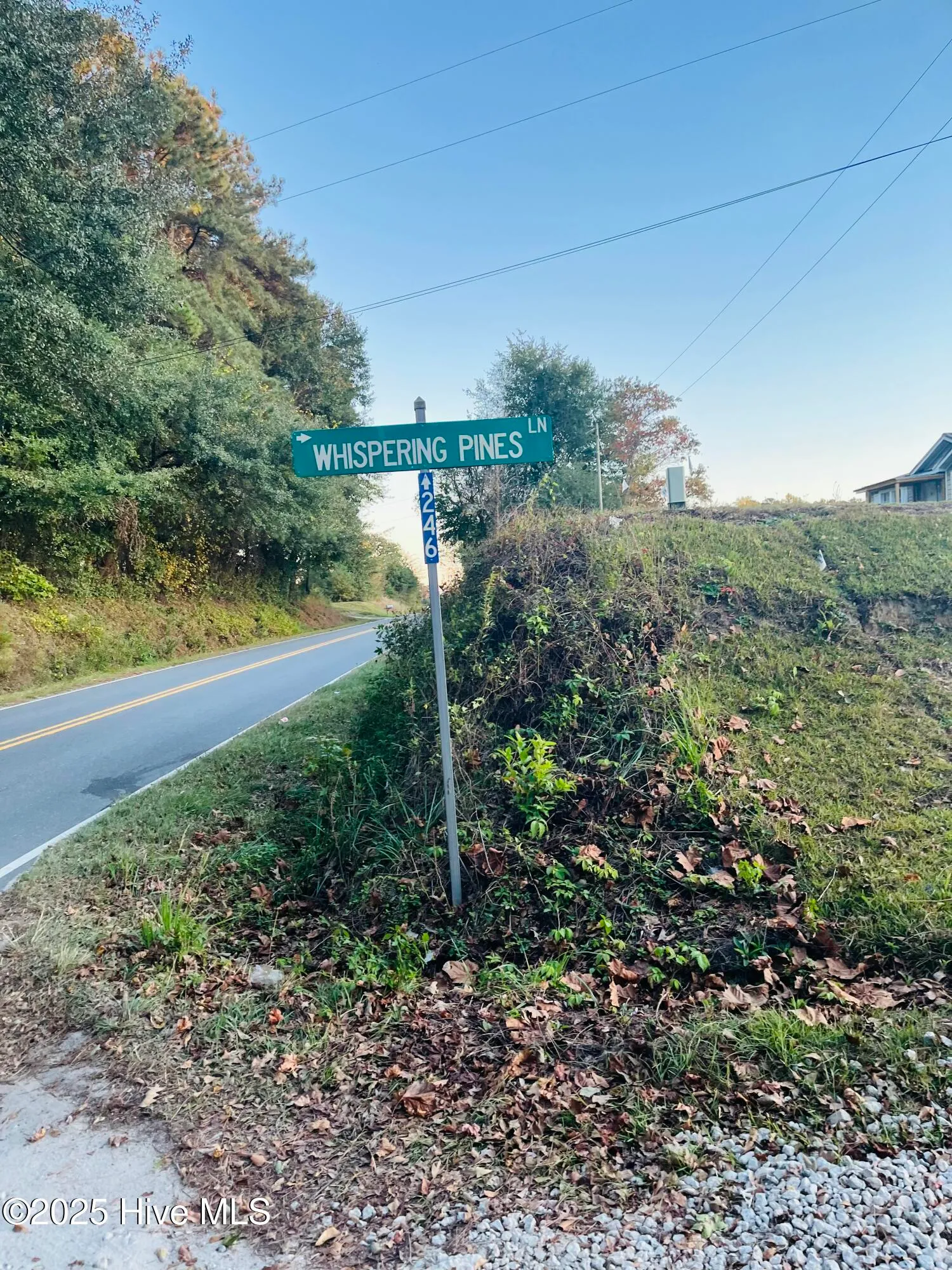 Magnolia, North Carolina 28453, United States, ,Land,Active,234015