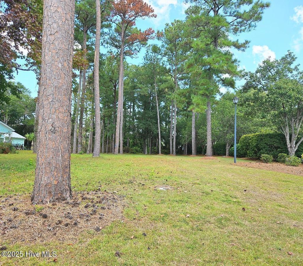 Photo of 200 Bayside Drive, Cape Carteret, NC 28584 (MLS # 100533330)