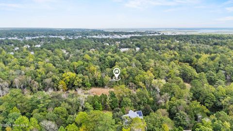 Tiny photo for 107 Overlook Drive, Hampstead, NC 28443 (MLS # 100534778)