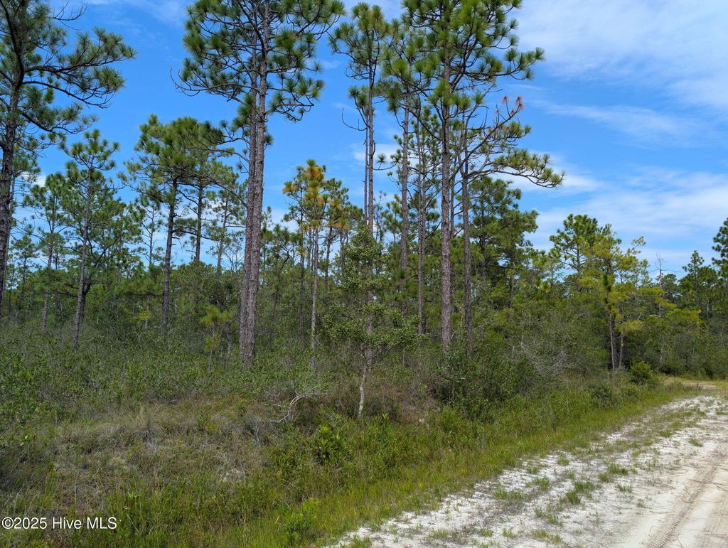 Photo of 566567 Holiday Road, Southport, NC 28461 (MLS # 100528341)
