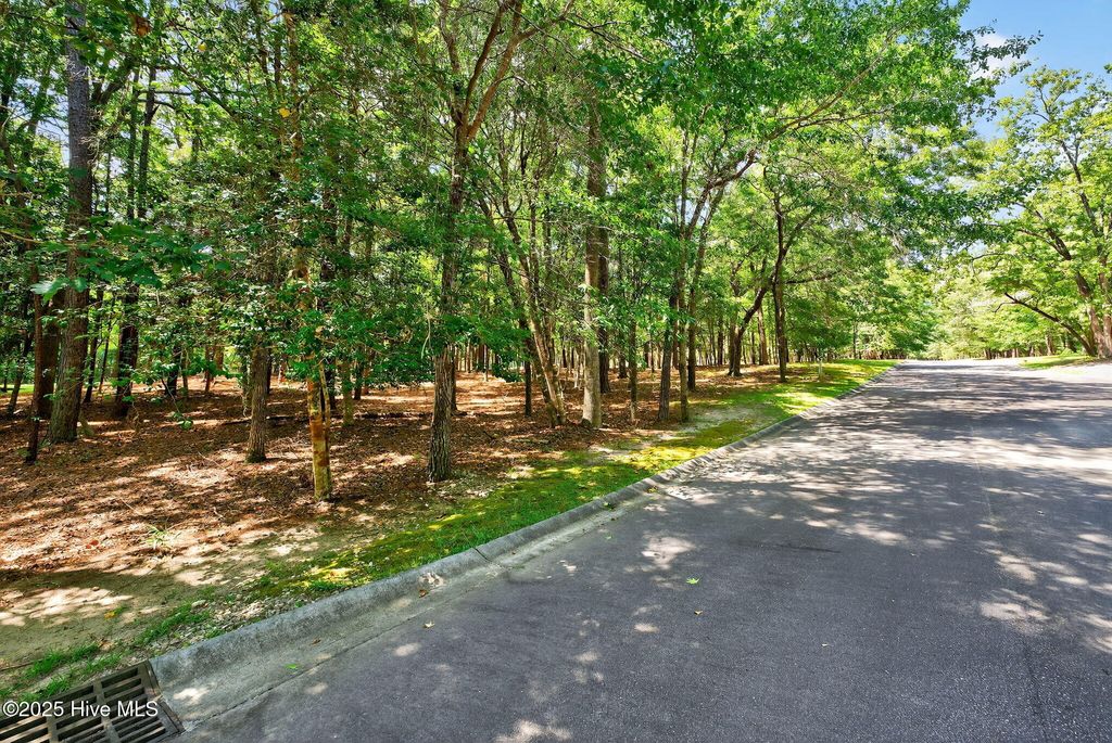 Photo of 3527 Fairway Crest Drive SW, Shallotte, NC 28470 (MLS # 100519533)