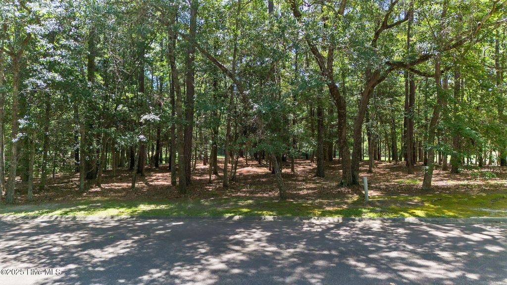 Photo of 3527 Fairway Crest Drive SW, Shallotte, NC 28470 (MLS # 100519533)