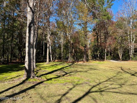 Tiny photo for 8 Sand Dollar Lane, Hampstead, NC 28443 (MLS # 100541619)
