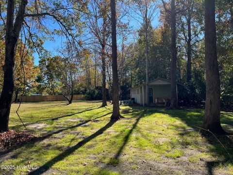 Tiny photo for 8 Sand Dollar Lane, Hampstead, NC 28443 (MLS # 100541619)