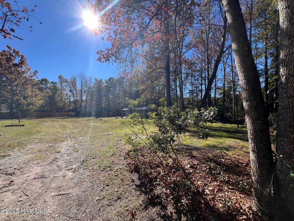 Photo of 8 Sand Dollar Lane, Hampstead, NC 28443 (MLS # 100541619)