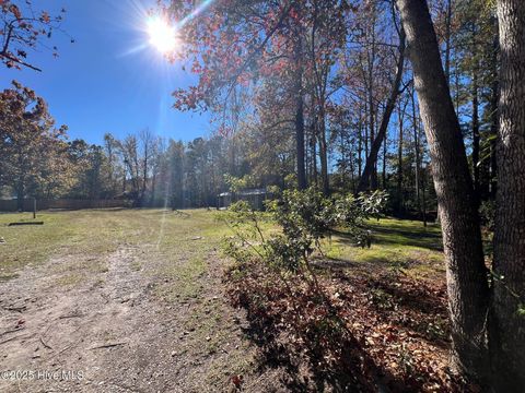 Tiny photo for 8 Sand Dollar Lane, Hampstead, NC 28443 (MLS # 100541619)