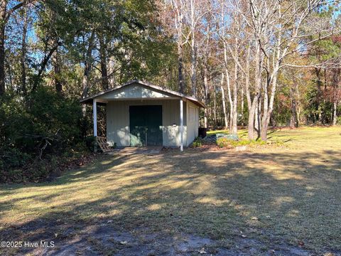 Tiny photo for 8 Sand Dollar Lane, Hampstead, NC 28443 (MLS # 100541619)