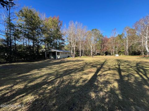 Photo of 8 Sand Dollar Lane, Hampstead, NC 28443 (MLS # 100541619)