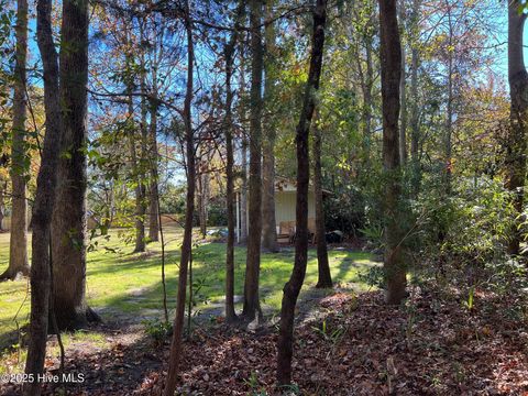 Tiny photo for 8 Sand Dollar Lane, Hampstead, NC 28443 (MLS # 100541619)