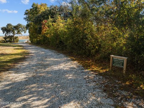 Tiny photo for 8 Sand Dollar Lane, Hampstead, NC 28443 (MLS # 100541619)
