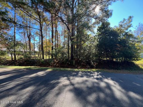 Tiny photo for 8 Sand Dollar Lane, Hampstead, NC 28443 (MLS # 100541619)