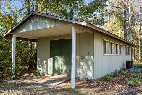 Tiny photo for 8 Sand Dollar Lane, Hampstead, NC 28443 (MLS # 100541619)