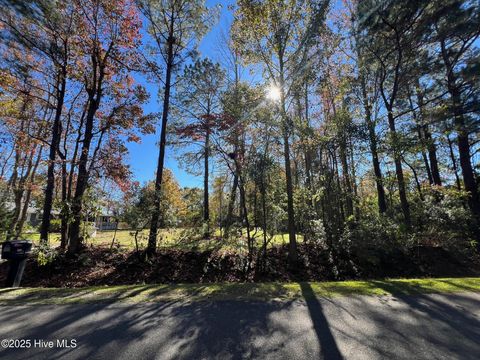 Tiny photo for 8 Sand Dollar Lane, Hampstead, NC 28443 (MLS # 100541619)