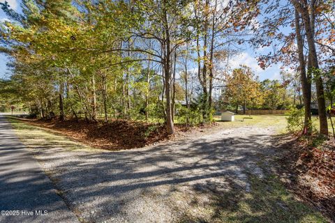 Tiny photo for 8 Sand Dollar Lane, Hampstead, NC 28443 (MLS # 100541619)
