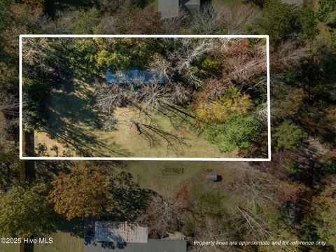 Tiny photo for 8 Sand Dollar Lane, Hampstead, NC 28443 (MLS # 100541619)