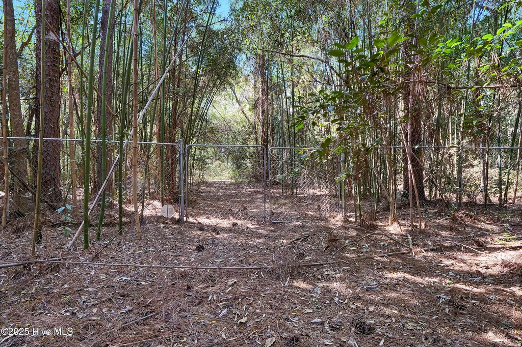 listing image 64