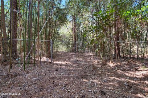 listing image 64