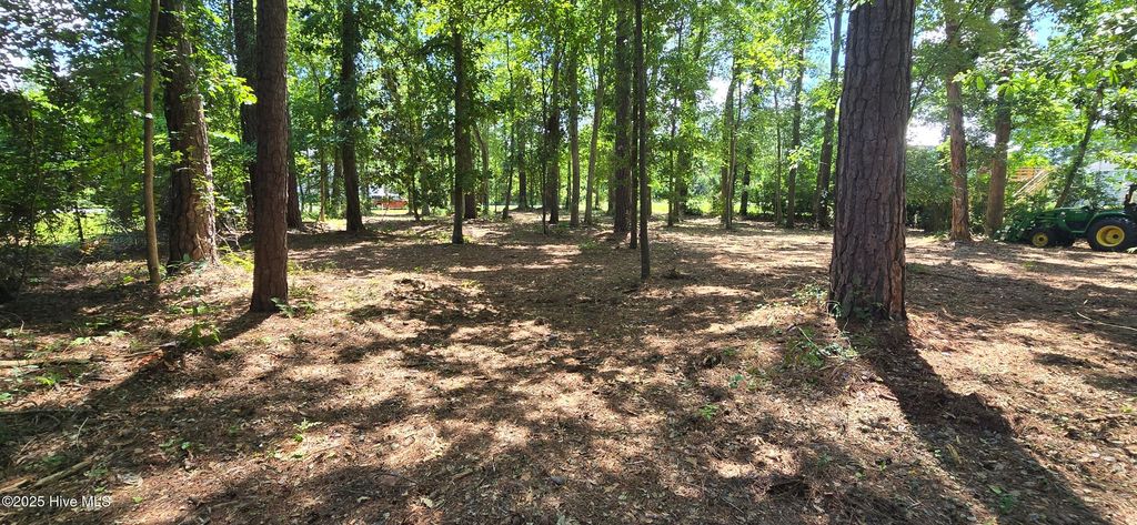 Photo of 1 Swan Point Road, Washington, NC 27889 (MLS # 100520455)