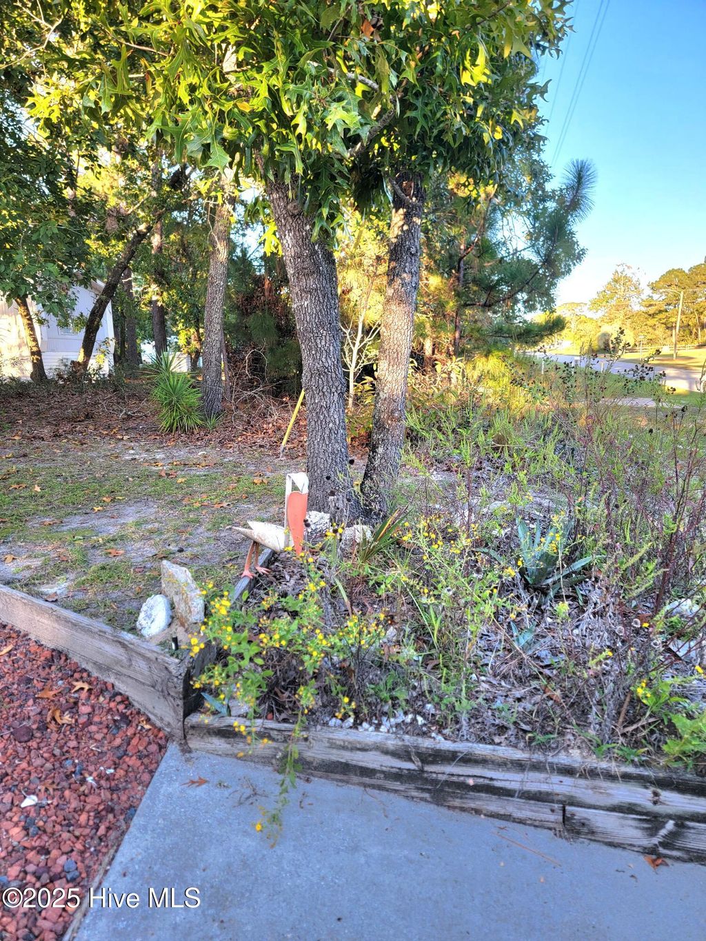 Photo of 2152 Forest Drive SW, Supply, NC 28462 (MLS # 100534903)