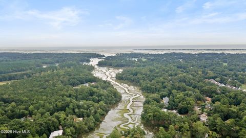 Tiny photo for 534 Creekwood Rd Rd, Wilmington, NC 28411 (MLS # 100535838)