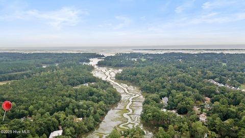 Photo of 534 Creekwood Rd Rd, Wilmington, NC 28411 (MLS # 100535838)