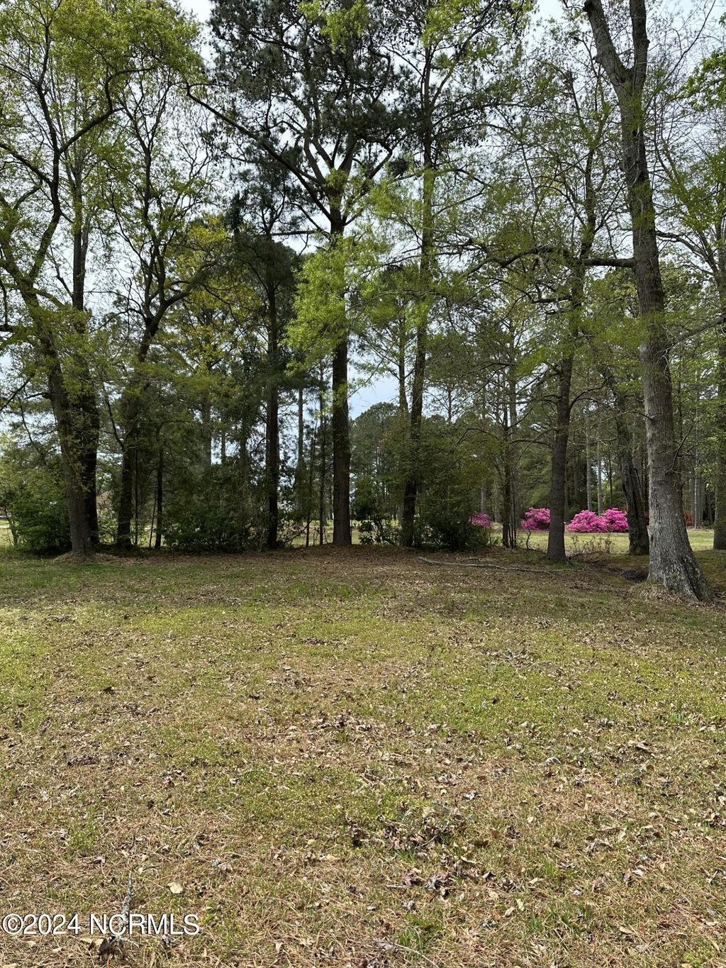 Photo of 15 Shore Drive, Bath, NC 27808 (MLS # 100460028)