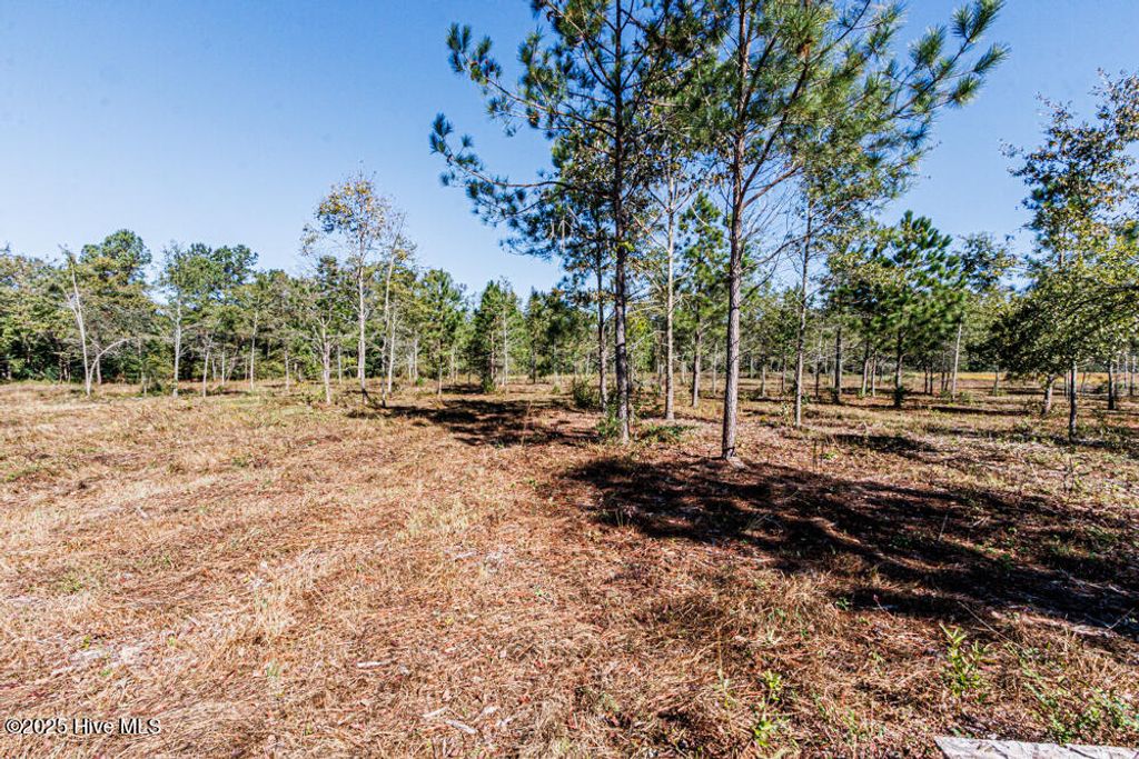 Photo of 1352 W Castalia Road, Nashville, NC 27856 (MLS # 100536722)