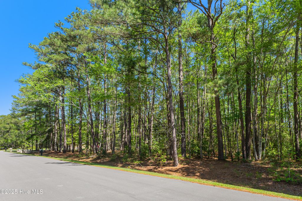 Photo of 53 Sunfield Drive, Carolina Shores, NC 28467 (MLS # 100500863)
