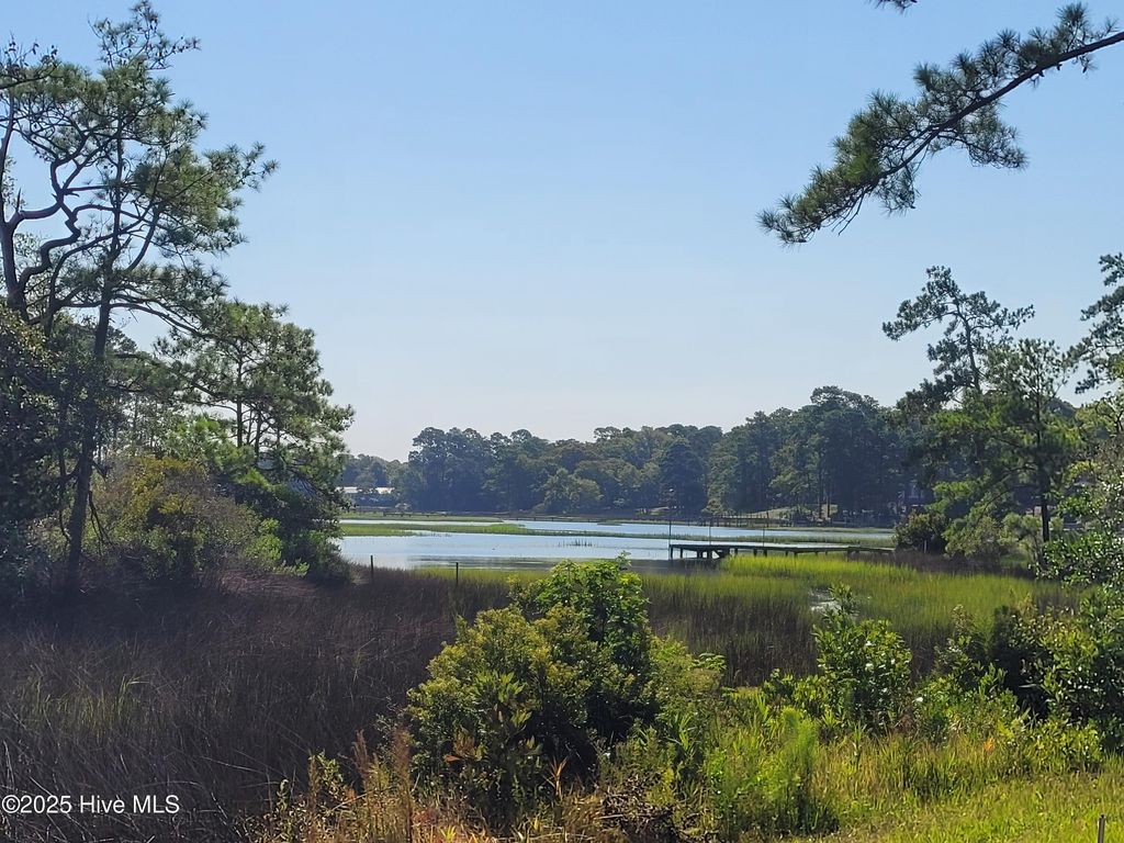 Photo of 1672 Little Shallotte River Drive SW, Shallotte, NC 28470 (MLS # 100521467)