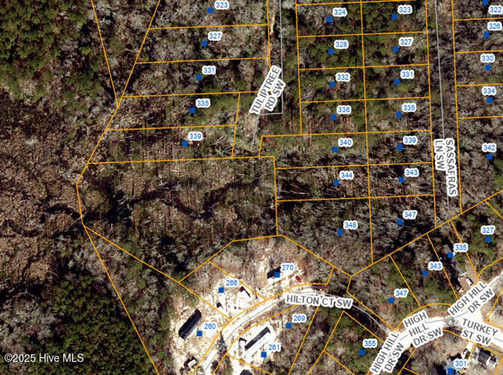 Photo of 348 Tuliptree Road SW, Supply, NC 28462 (MLS # 100512622)