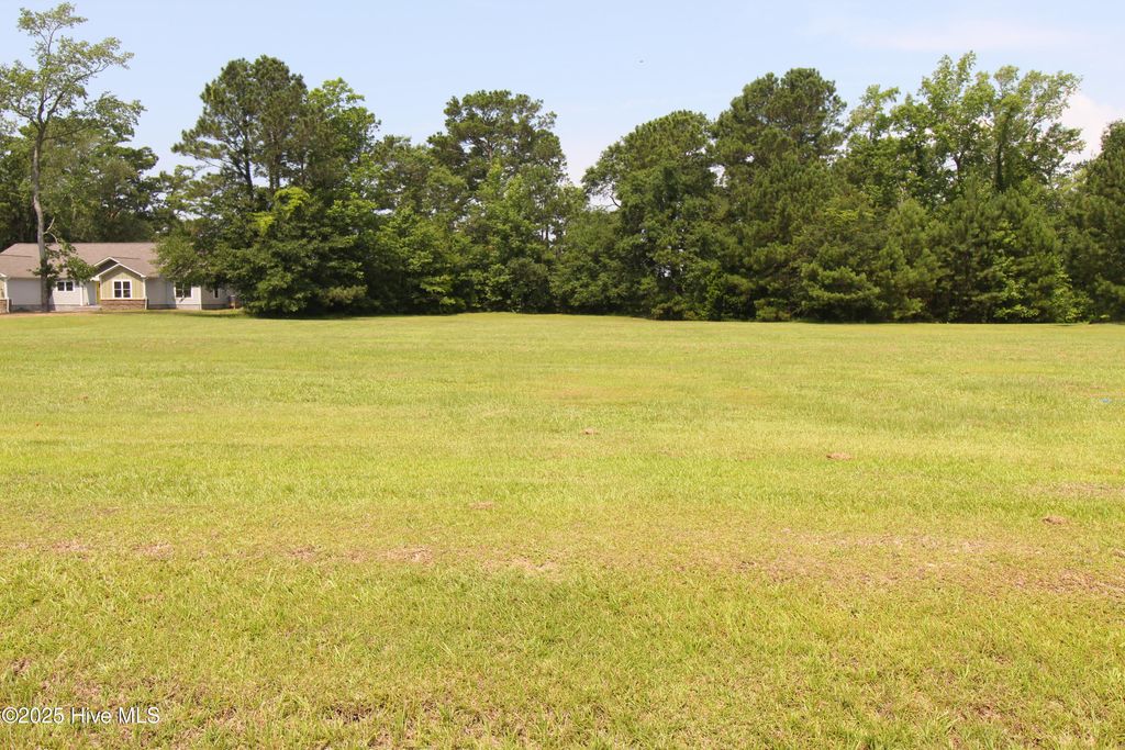 Photo of 215 Long Creek Drive, Havelock, NC 28532 (MLS # 100516103)