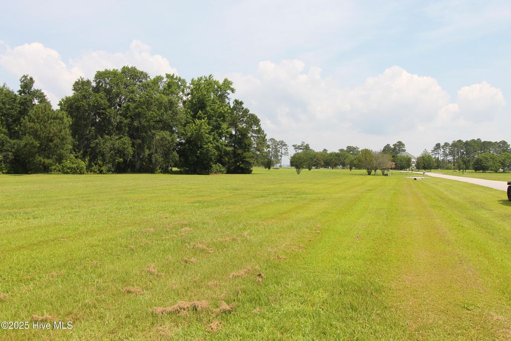 Photo of 215 Long Creek Drive, Havelock, NC 28532 (MLS # 100516103)