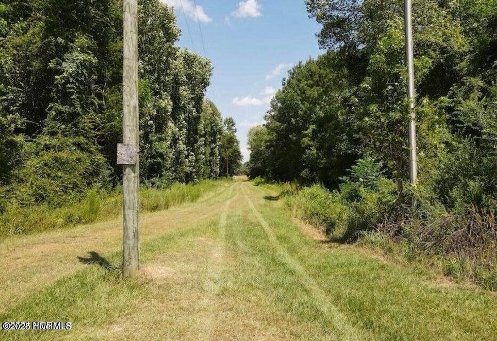 Photo of 5758 James B White Highway N, Whiteville, NC 28472 (MLS # 100539243)