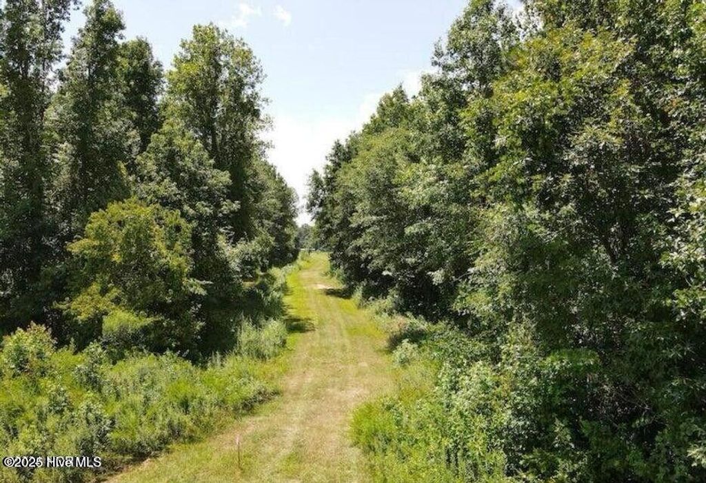 Photo of 5758 James B White Highway N, Whiteville, NC 28472 (MLS # 100539243)