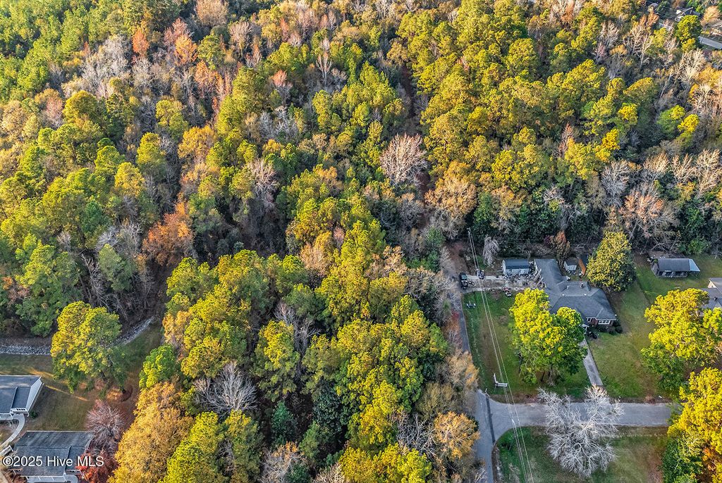 Photo of 0 Woodrow Street, Tabor City, NC 28463 (MLS # 100542814)