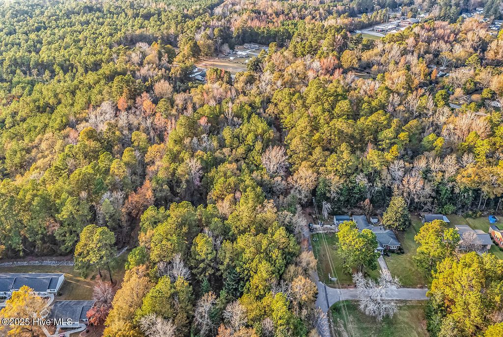 Photo of 0 Woodrow Street, Tabor City, NC 28463 (MLS # 100542814)