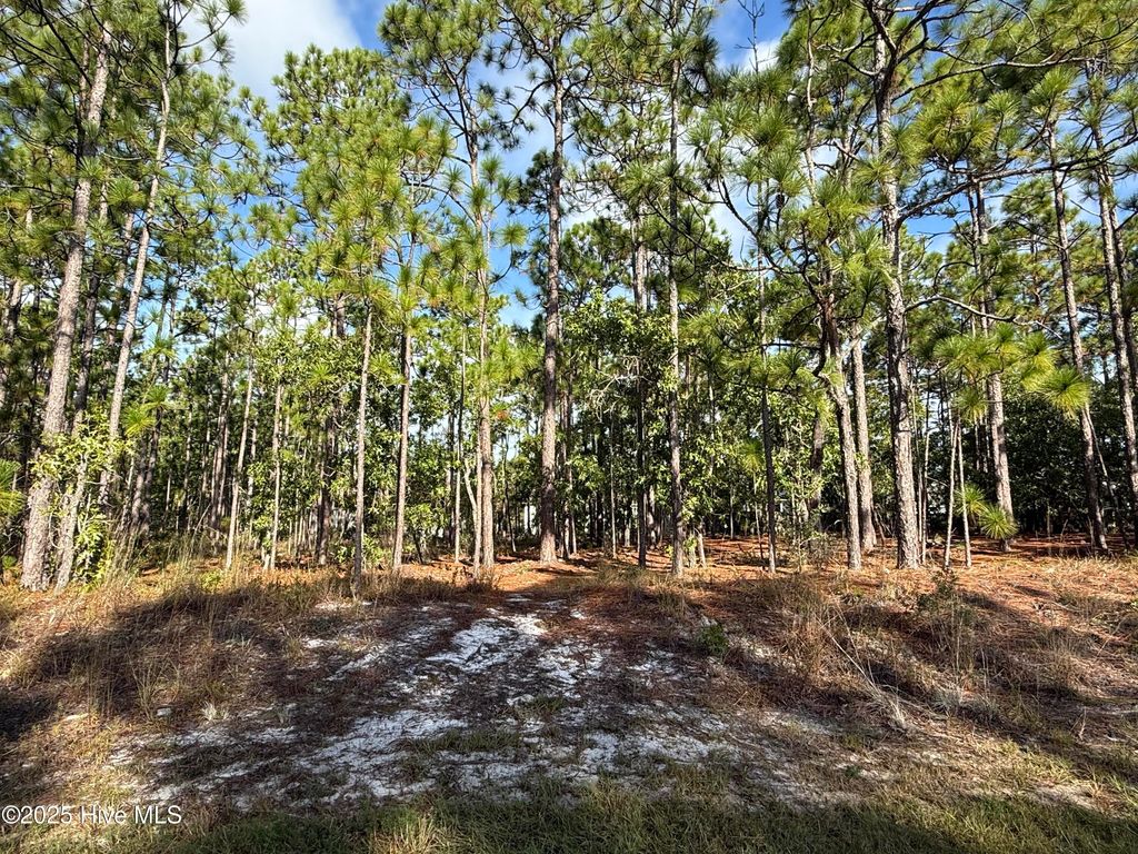 Photo of 585 Westwood Road, Southport, NC 28461 (MLS # 100537003)