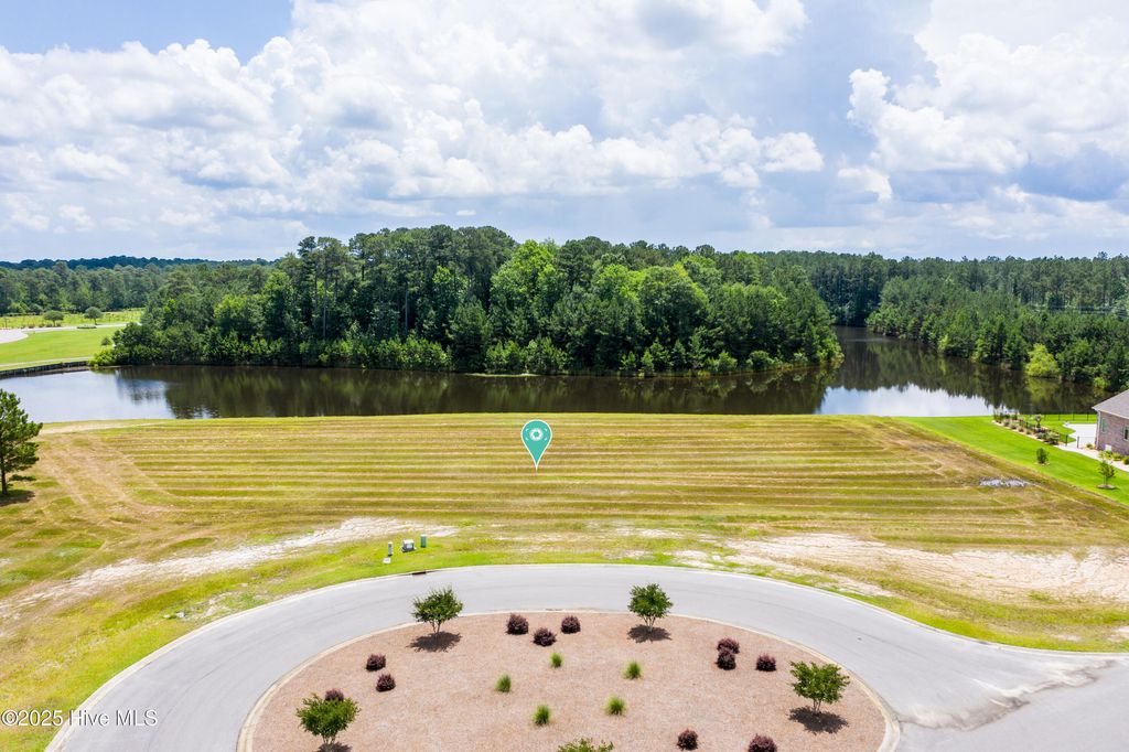 Photo of 173 Vintners Way, Wallace, NC 28466 (MLS # 100487802)