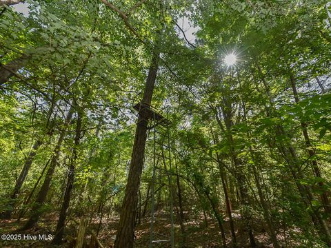 Photo of 224 Foxfire Road, Aberdeen, NC 28315 (MLS # 100536197)