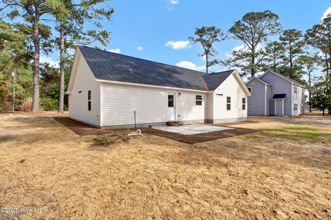 Tiny photo for 201 Megans Field Place #66, Richlands, NC 28574 (MLS # 100542873)