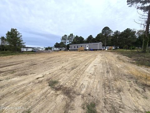 Tiny photo for 405 S Alligator Lane, Willard, NC 28478 (MLS # 100535678)
