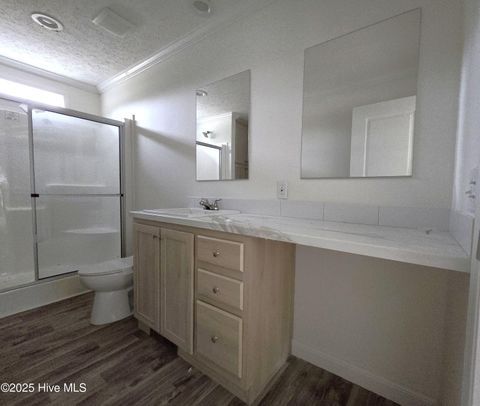 Tiny photo for 405 S Alligator Lane, Willard, NC 28478 (MLS # 100535678)