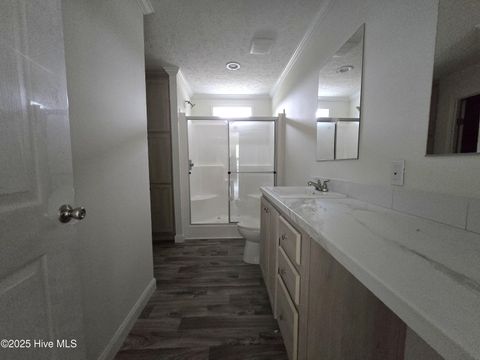 Tiny photo for 405 S Alligator Lane, Willard, NC 28478 (MLS # 100535678)