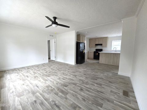 Tiny photo for 405 S Alligator Lane, Willard, NC 28478 (MLS # 100535678)