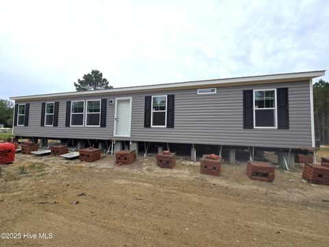 Photo of 405 S Alligator Lane, Willard, NC 28478 (MLS # 100535678)