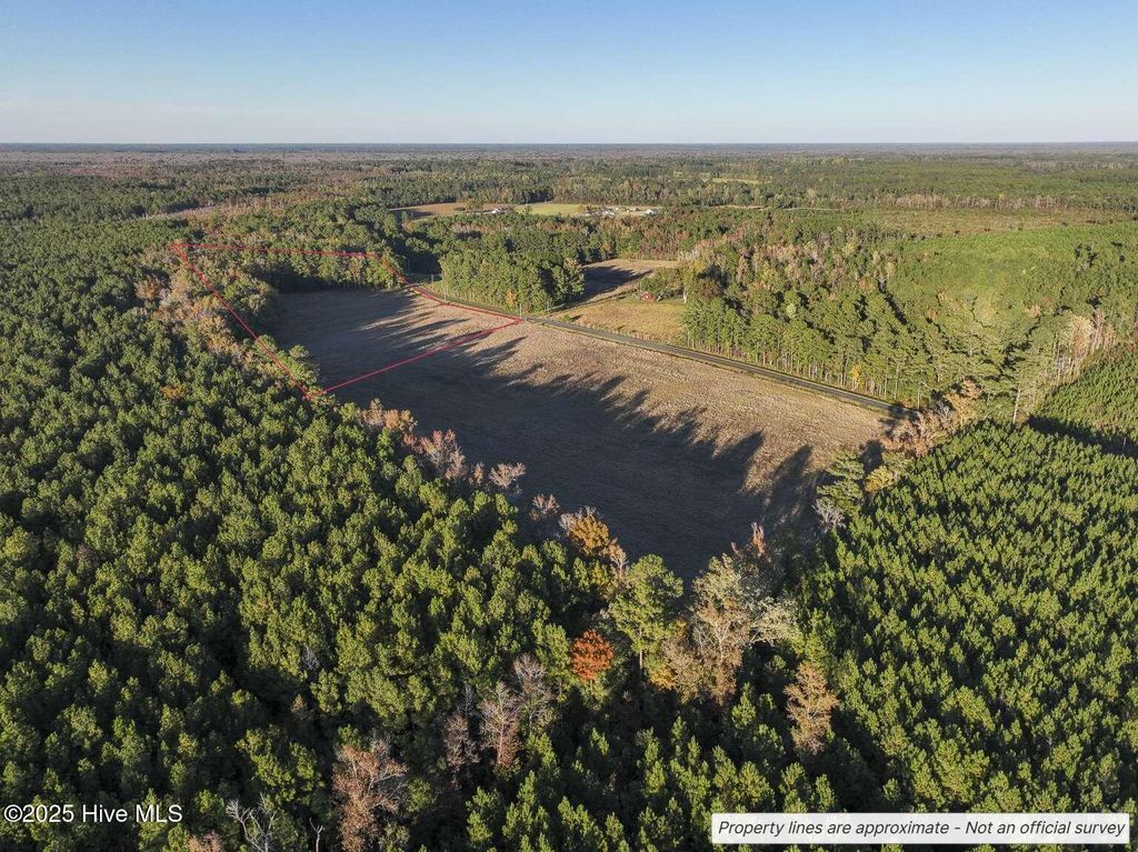 Photo of 854 Creek Road, Whiteville, NC 28472 (MLS # 100543445)