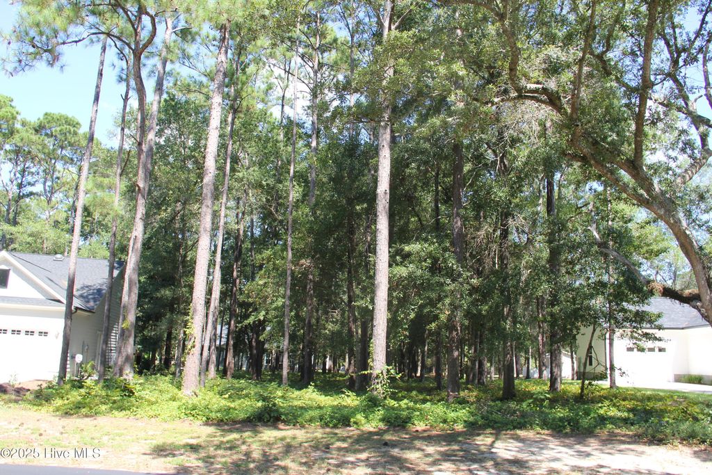 Photo of 686 Folly Drive, Bolivia, NC 28422 (MLS # 100533154)