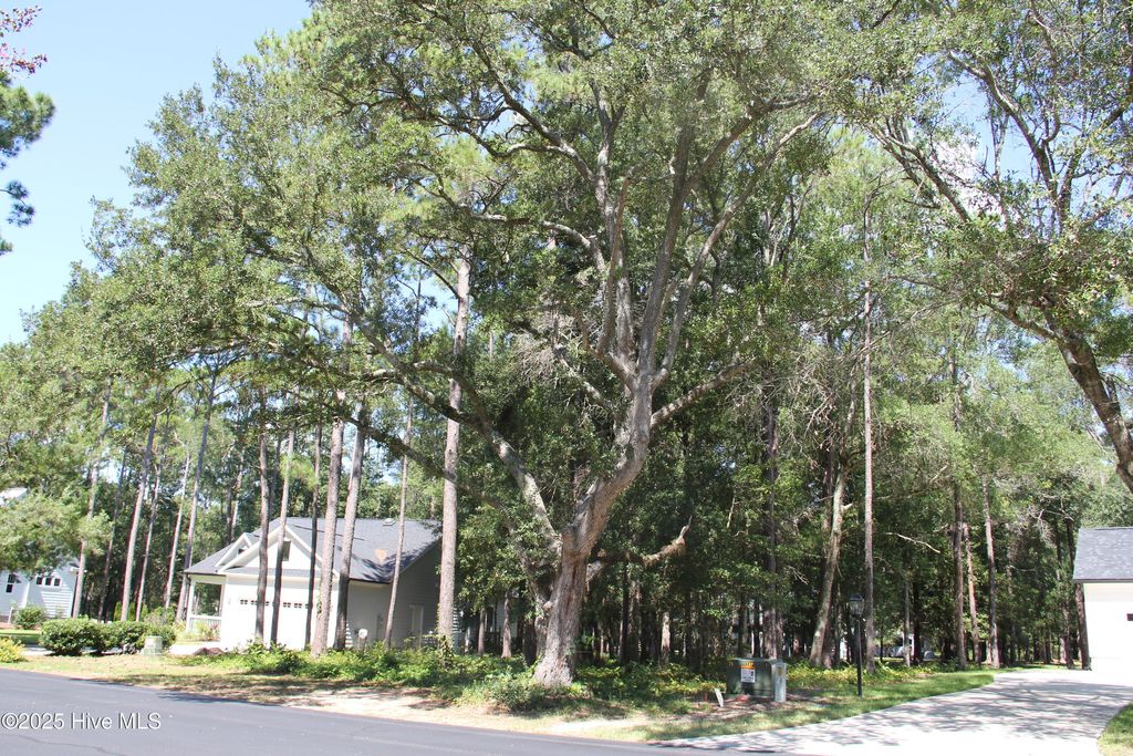 Photo of 686 Folly Drive, Bolivia, NC 28422 (MLS # 100533154)