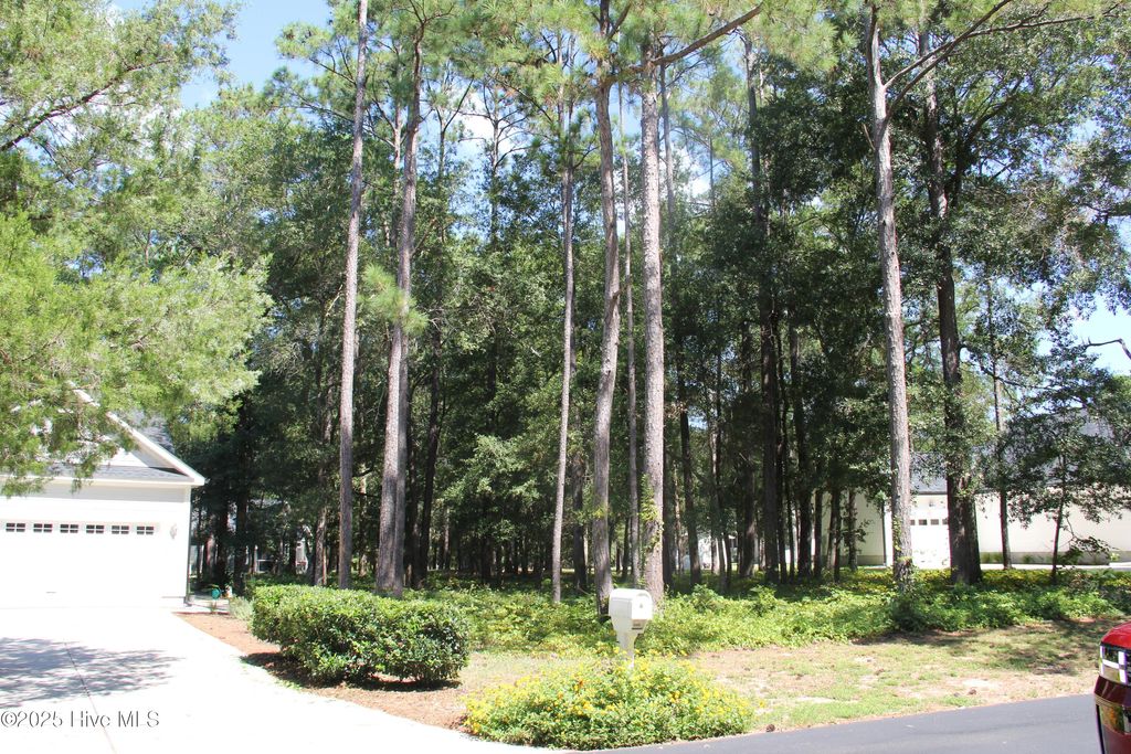 Photo of 686 Folly Drive, Bolivia, NC 28422 (MLS # 100533154)